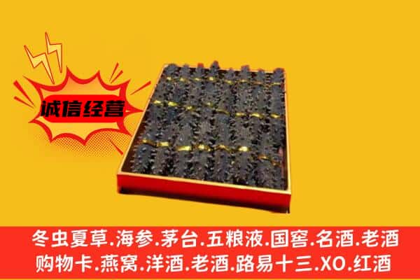 西畴县回收海参